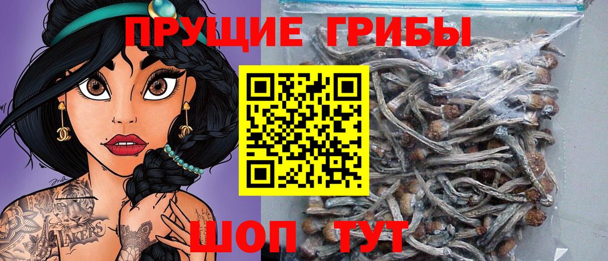 Галлюциногенные грибы мицелий Киров