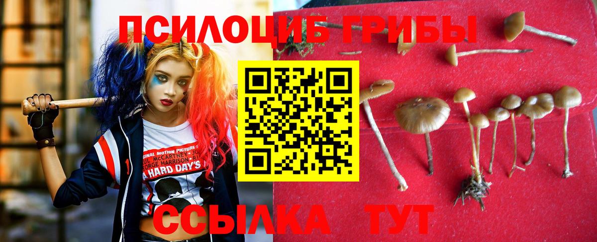 Кокаин  МЕФ  Киров  МЕТАДОН  Меф МЯУ МЯУ   ГАШИШ  Вход с VPN  ГАШ 