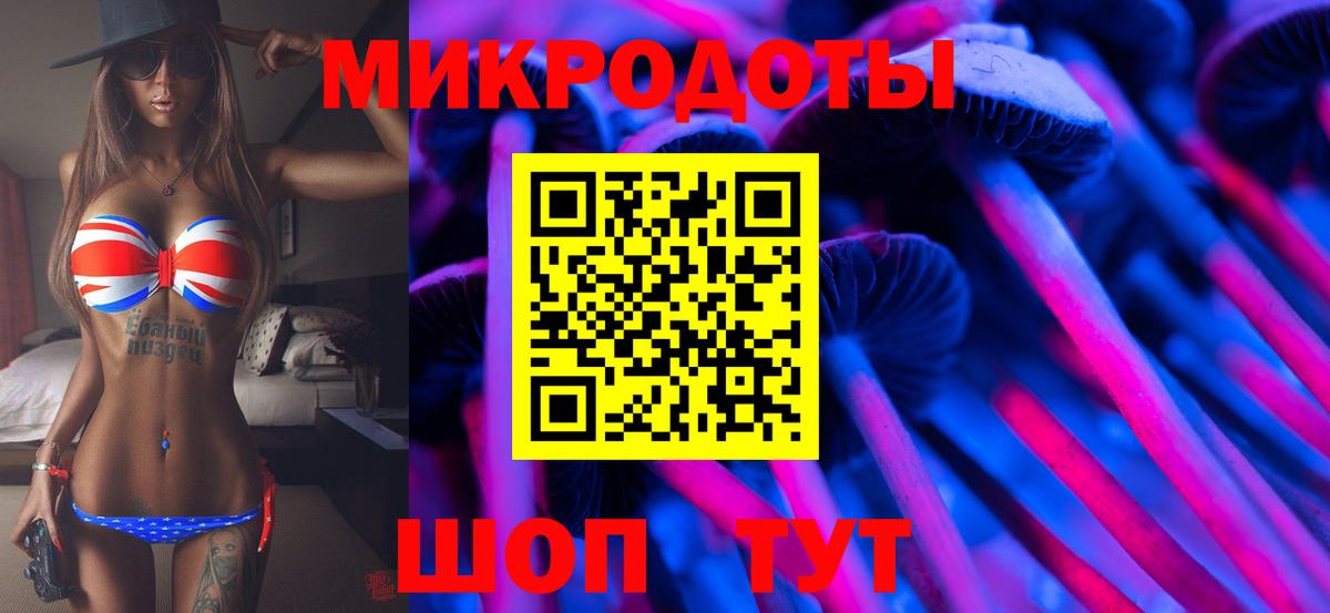 Псилоцибиновые грибы Psilocybine cubensis  Вход с VPN  Киров 